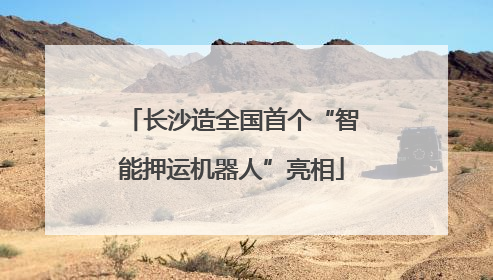 长沙造全国首个“智能押运机器人”亮相