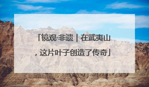 镜观·非遗｜在武夷山，这片叶子创造了传奇