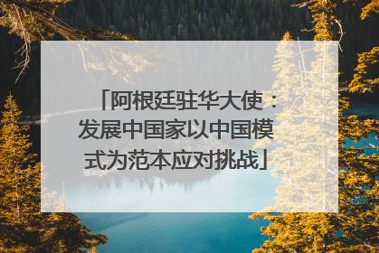 阿根廷驻华大使：发展中国家以中国模式为范本应对挑战
