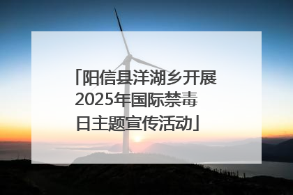 阳信县洋湖乡开展2025年国际禁毒日主题宣传活动