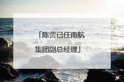 陈詟已任南航集团副总经理