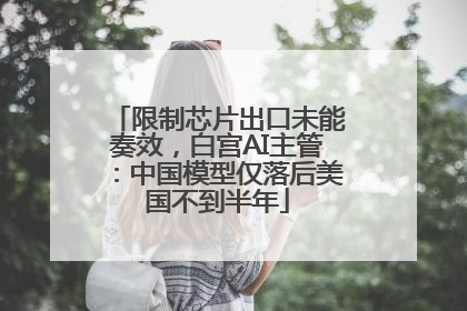 限制芯片出口未能奏效，白宫AI主管：中国模型仅落后美国不到半年