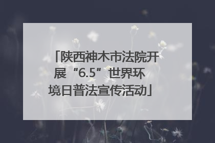 陕西神木市法院开展“6.5”世界环境日普法宣传活动