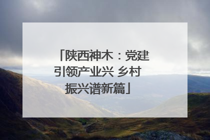 陕西神木：党建引领产业兴 乡村振兴谱新篇
