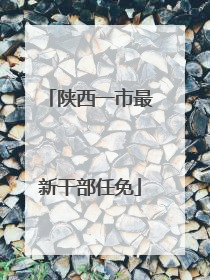 陕西一市最新干部任免