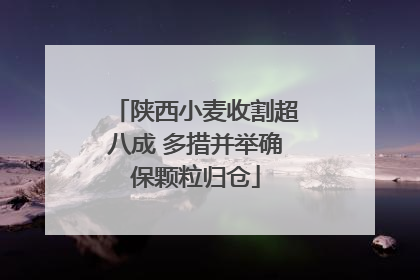 陕西小麦收割超八成 多措并举确保颗粒归仓