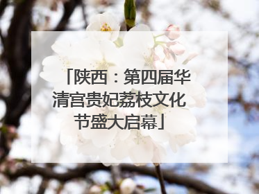 陕西：第四届华清宫贵妃荔枝文化节盛大启幕