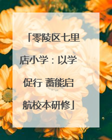 零陵区七里店小学：以学促行 蓄能启航校本研修