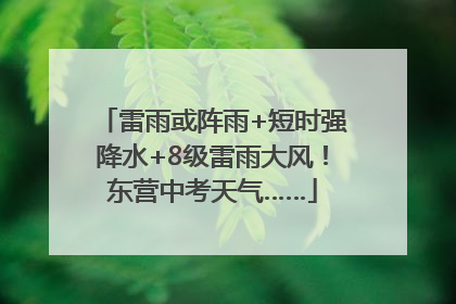 雷雨或阵雨+短时强降水+8级雷雨大风！东营中考天气……