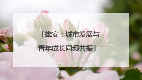 雄安：城市发展与青年成长同频共振