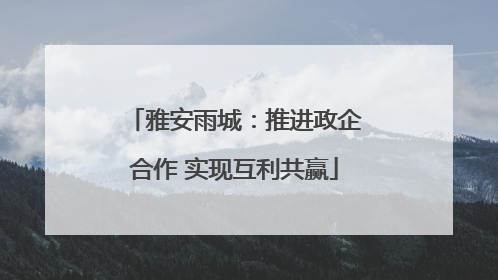 雅安雨城：推进政企合作 实现互利共赢