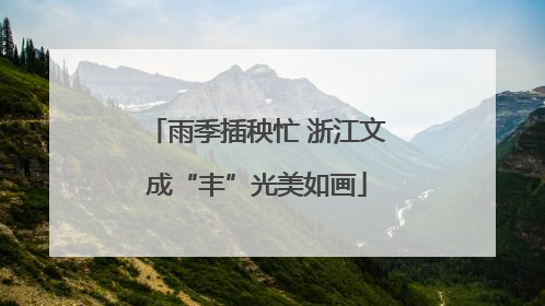 雨季插秧忙 浙江文成“丰”光美如画