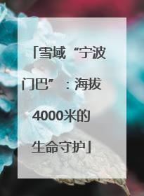 雪域“宁波门巴”：海拔4000米的生命守护