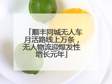 顺丰同城无人车月活路线上万条，无人物流迎爆发性增长元年
