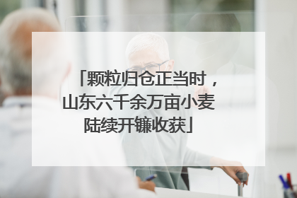 颗粒归仓正当时，山东六千余万亩小麦陆续开镰收获