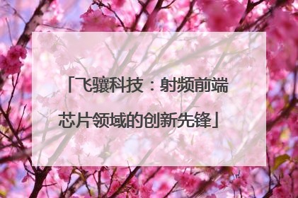 飞骧科技：射频前端芯片领域的创新先锋