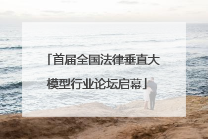 首届全国法律垂直大模型行业论坛启幕