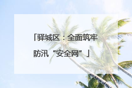 驿城区：全面筑牢防汛“安全网”