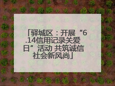 驿城区：开展“6.14信用记录关爱日”活动 共筑诚信社会新风尚