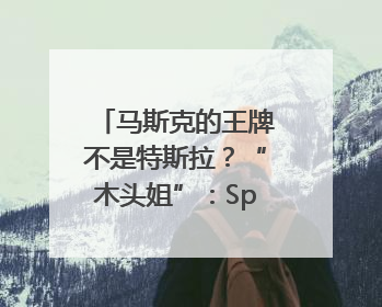马斯克的王牌不是特斯拉？“木头姐”：SpaceX估值五年后可达2.5万亿美元！