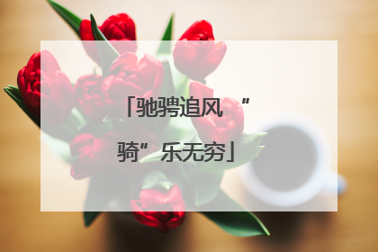 驰骋追风 “骑”乐无穷