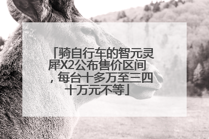 骑自行车的智元灵犀X2公布售价区间，每台十多万至三四十万元不等