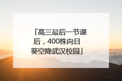 高三最后一节课后，400株向日葵空降武汉校园