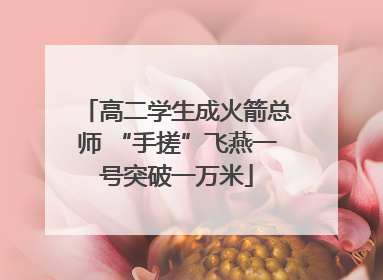 高二学生成火箭总师 “手搓”飞燕一号突破一万米