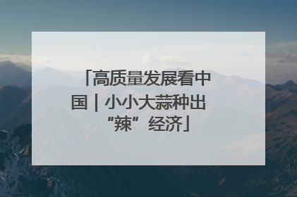 高质量发展看中国｜小小大蒜种出“辣”经济