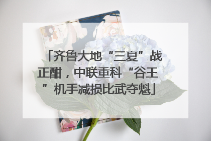 齐鲁大地“三夏”战正酣，中联重科“谷王”机手减损比武夺魁
