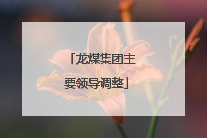 龙煤集团主要领导调整