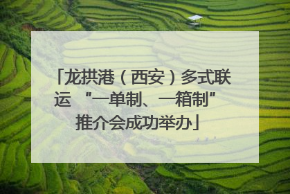 龙拱港（西安）多式联运 “一单制、一箱制” 推介会成功举办