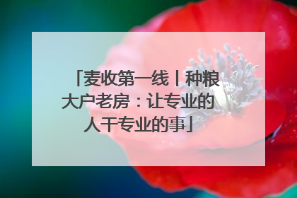 麦收第一线丨种粮大户老房：让专业的人干专业的事