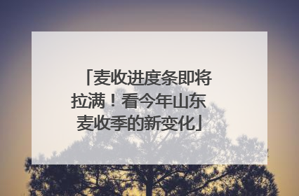 麦收进度条即将拉满！看今年山东麦收季的新变化
