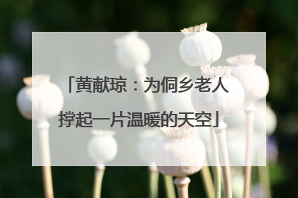 黄献琼：为侗乡老人撑起一片温暖的天空