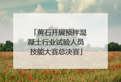 黄石开展预拌混凝土行业试验人员技能大赛总决赛