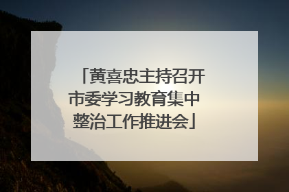 黄喜忠主持召开市委学习教育集中整治工作推进会