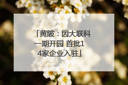黄陂：因大联科一期开园 首批14家企业入驻