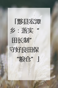 黟县宏潭乡：落实“田长制” 守好良田保“粮仓”