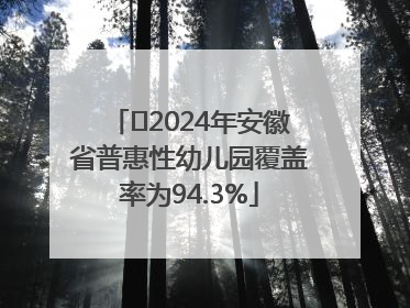 ﻿2024年安徽省普惠性幼儿园覆盖率为94.3%