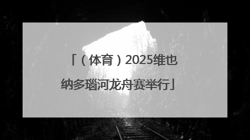 （体育）2025维也纳多瑙河龙舟赛举行