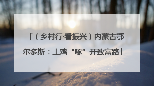 （乡村行·看振兴）内蒙古鄂尔多斯：土鸡“啄”开致富路