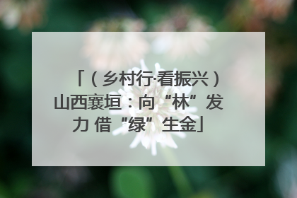 （乡村行·看振兴）山西襄垣：向“林”发力 借“绿”生金