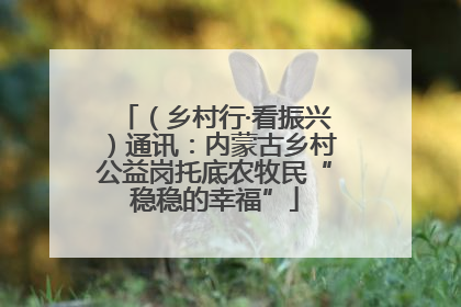 （乡村行·看振兴）通讯：内蒙古乡村公益岗托底农牧民“稳稳的幸福”