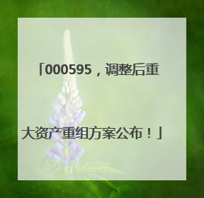 000595，调整后重大资产重组方案公布！