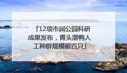 12项市属公园科研成果发布，青头潜鸭人工种群规模破百只