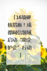 16项硬核措施！成都网信领域启动“助企护企”行动
