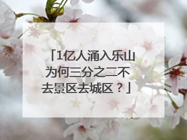1亿人涌入乐山 为何三分之二不去景区去城区？