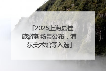 2025上海最佳旅游新场景公布，浦东美术馆等入选