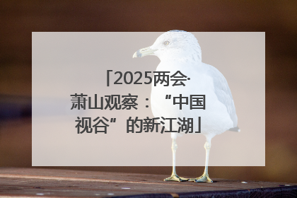 2025两会·萧山观察：“中国视谷”的新江湖